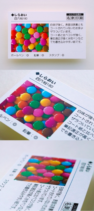 しらおいの見本